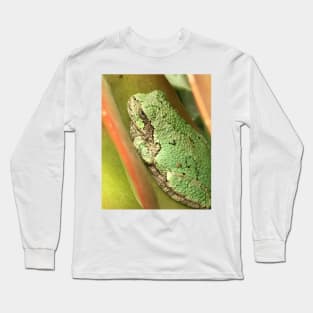 Succulent Tree Frog Long Sleeve T-Shirt